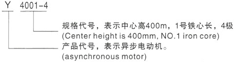 西安泰富西玛Y系列(H355-1000)高压YR5601-10/400KW三相异步电机型号说明